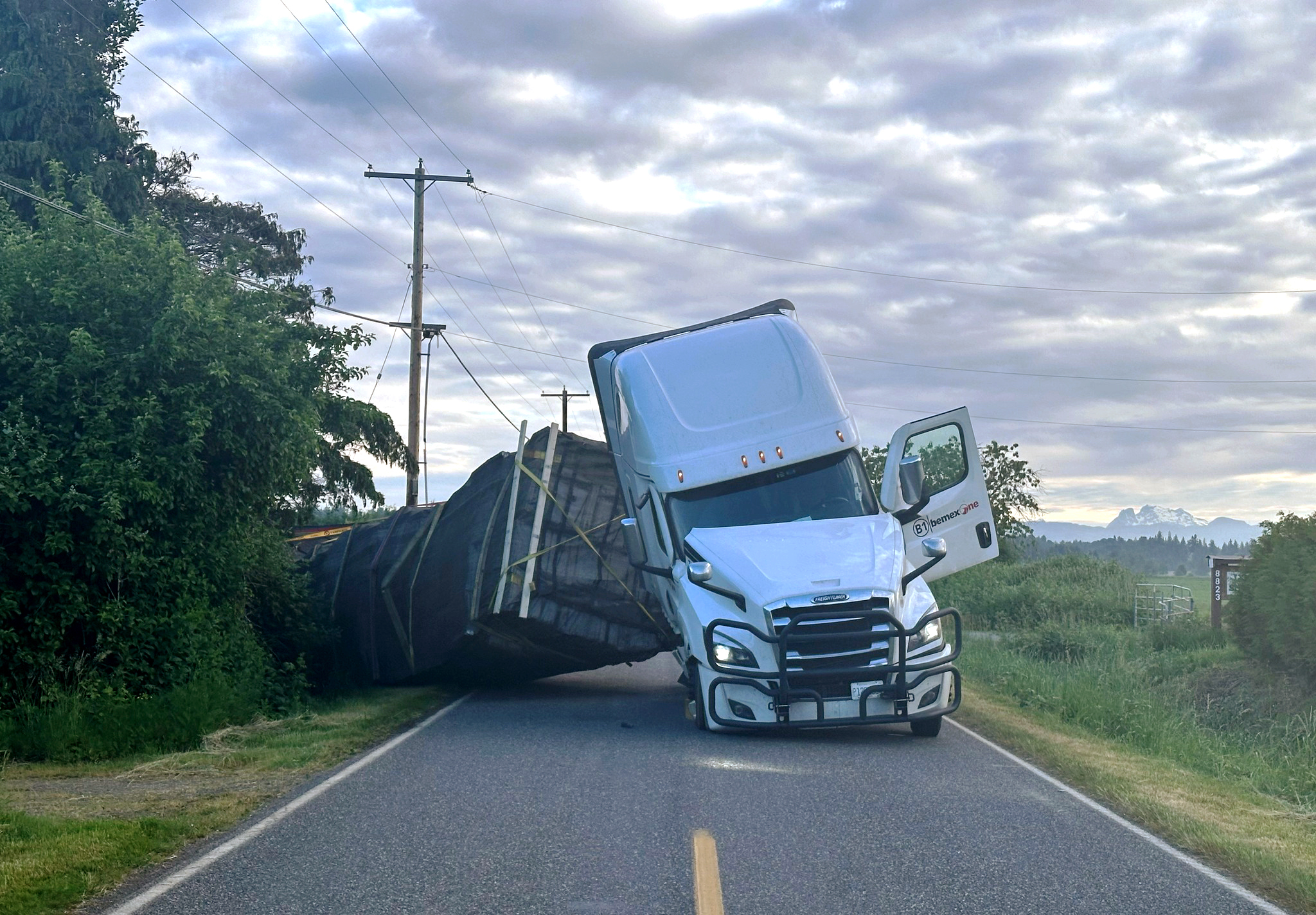 Why were millions of bees on a truck in WA? What to know after crash ...